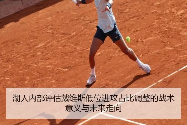 湖人内部评估戴维斯低位进攻占比调整的战术意义与未来走向