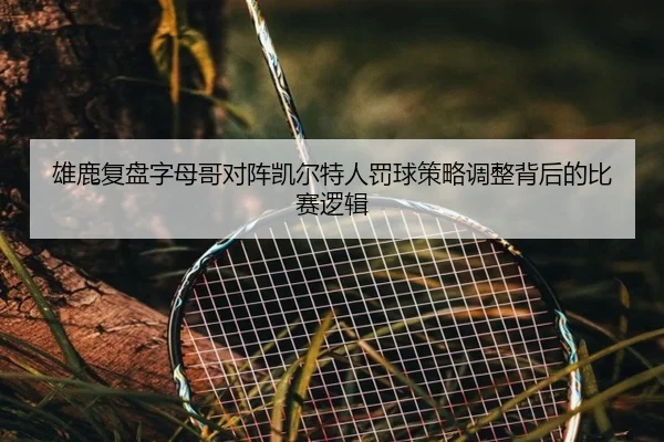 雄鹿复盘字母哥对阵凯尔特人罚球策略调整背后的比赛逻辑